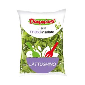 DimmidiSì insalata busta maxi lattughino