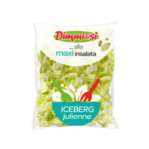 Maxi insalata iceberg julienne DimmidiSì