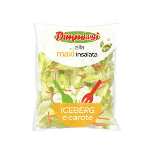 Maxi insalata iceberg e carote DimmidiSì