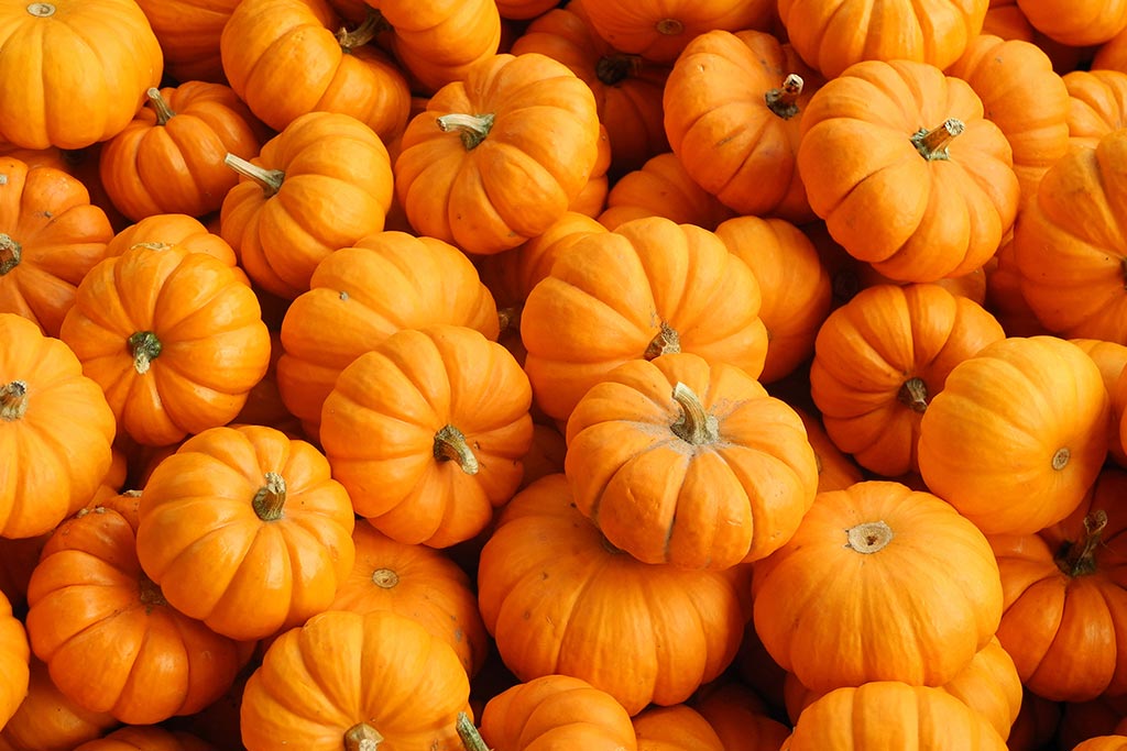 DimmidiSì - Non solo Halloween: a tavola con la zucca!